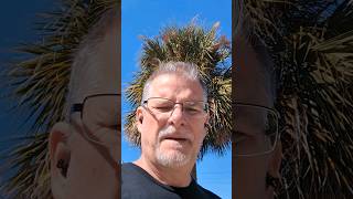 You Were Born An Original....so Why Spend Your Life Trying To Become A Copy?