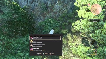 The Witcher 3: nest exploit / cheat
