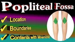 popliteal fossa anatomy | mnemonic