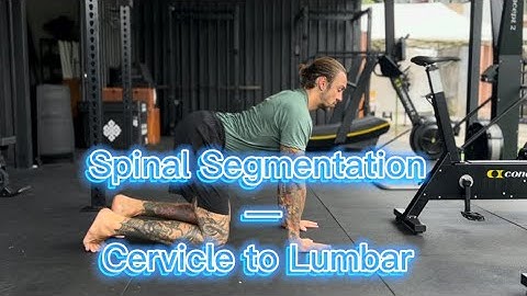 how to do spinal segmentation — cervical to lumbar and back 🔥