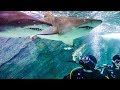 SWIMMING IN A TANK FULL OF SHARKS! w/ Sam, Colby & Corey