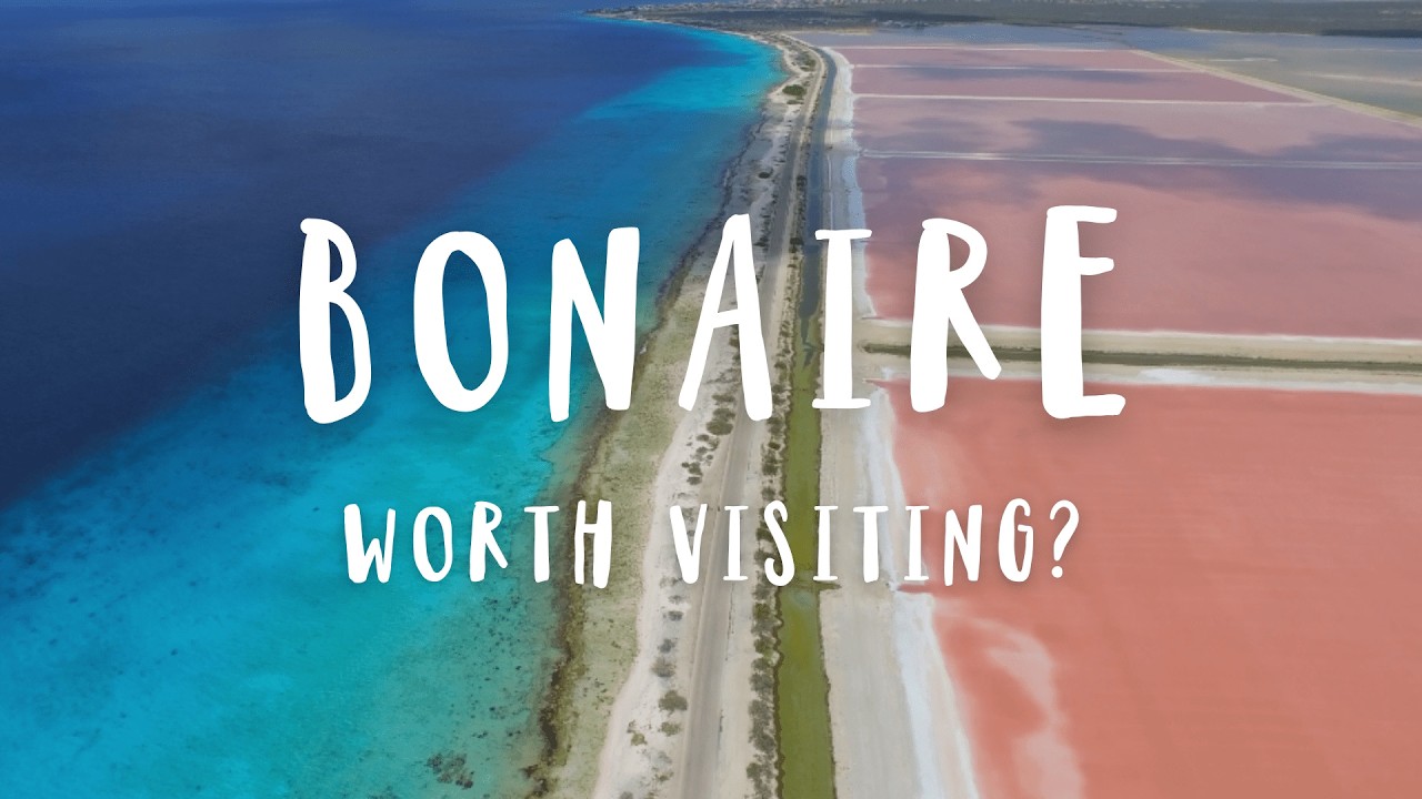 Нам нужно поговорить о Бонейре... (плюсы и минусы) | Путеводитель 2025