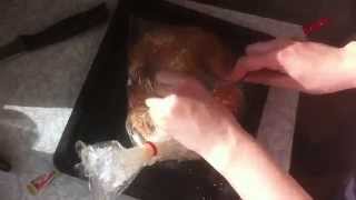 Курица запеченная в пакете - в духовке целиком