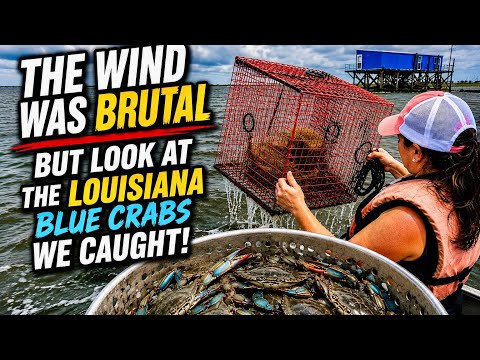 The Wind Was Brutal… But Look At The Louisiana Blue Crabs We Caught!
