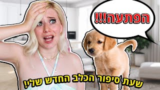 אמא שלי הביאה גורת כלבים הביתה בהפתעה!!! (אני מפחדת מכלבים!)