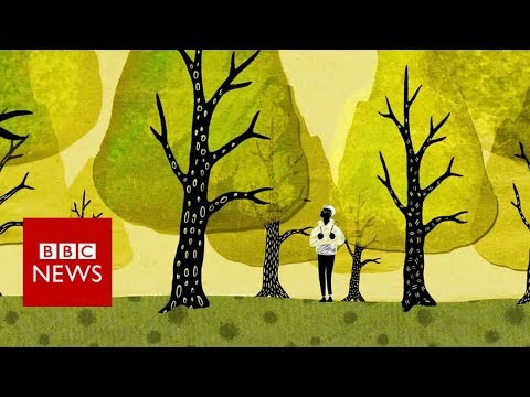 How trees secretly talk to each other - BBC News