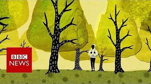 How trees secretly talk to each other - BBC News - DayDayNews