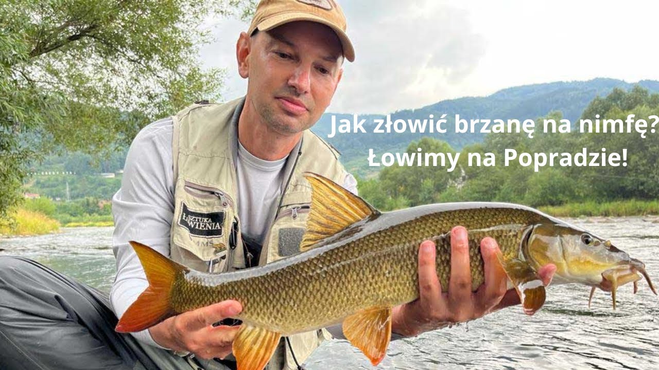 Jak złowić brzanę na nimfę? Łowimy na Popradzie!