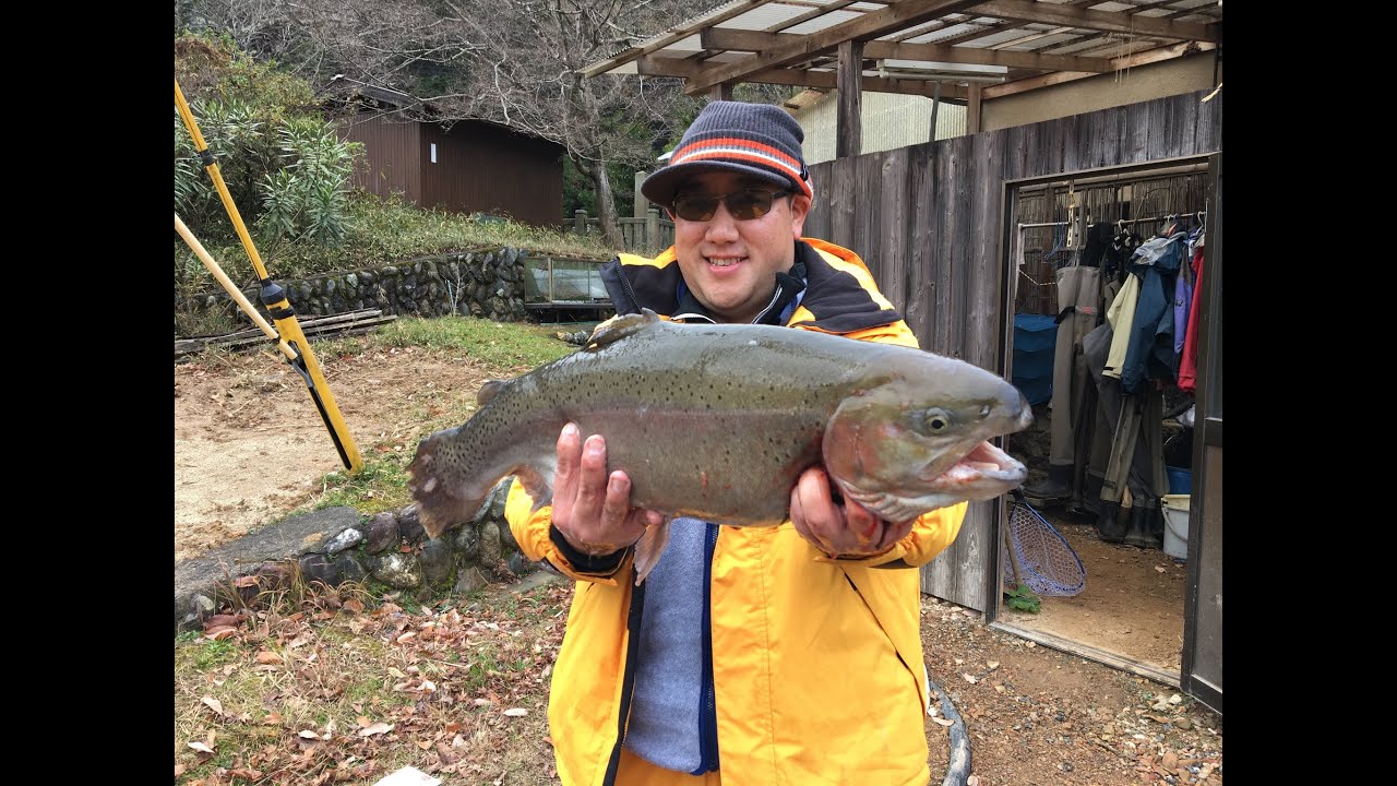 Lure & Fly fishing Kyoto Japan YouTube