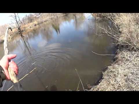 РЫБАЛКА ПАУК ПОДЪЁМНИК ПОПАЛ НА ХОД РЫБЫ ПОЙМАЛ БОЛЬШИХ КАРАСЕЙ!!!!!