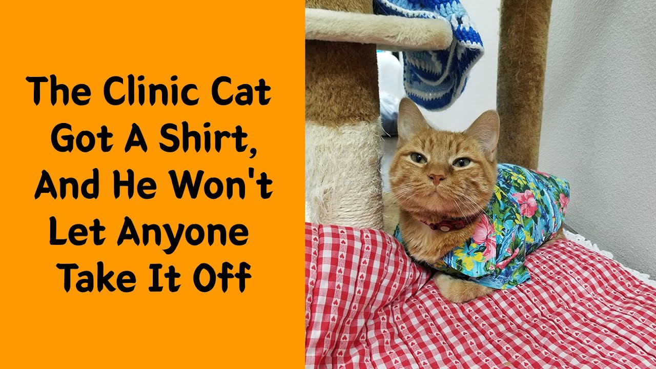 50 Hilarious And Wholesome Moments That Vets Have Experienced At Work 2/2 - Animal lover