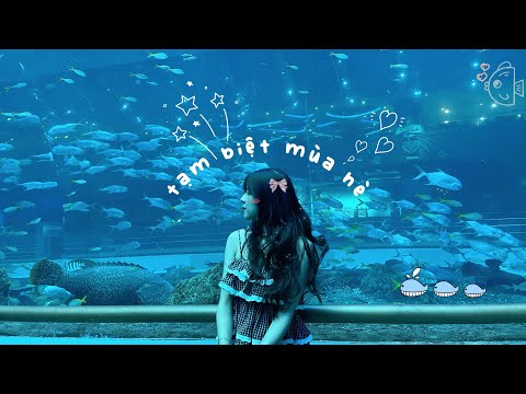 mùa hè xanh 🌦️