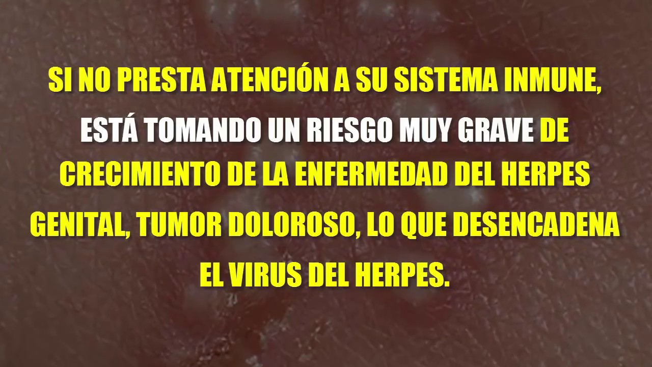 El bigote de oro las propiedades medicinales a varikoze
