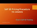 Sap sd 16 columns in pricing procedure rvaa01  sivans sap sd training
