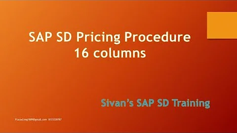 SAP SD 16 Columns in Pricing Procedure RVAA01 | Sivan's SAP SD Training