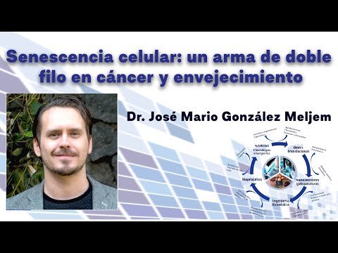 Vídeo: La Autodestrucción De Las Células Ayuda A Combatir El Envejecimiento Y El Cáncer - Vista Alternativa