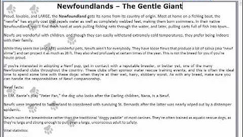 Designer - Video Tutorial for XSitePro Website Design Software