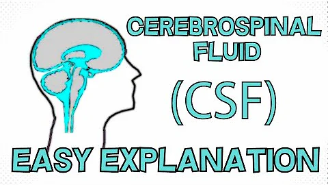 Cerebrospinal Fluid (CSF) explained in 3 Minutes - Function, Composition, Circulation - DayDayNews