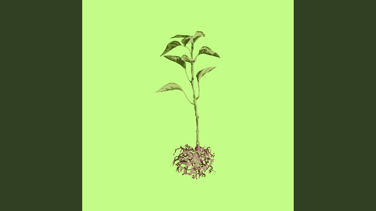 YouTubeでGrassrootsを視聴 YouTubeでGrassrootsを視聴