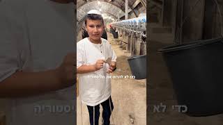 עיר דוד ירושלים אתם חייבים לבקר ולטייל שם