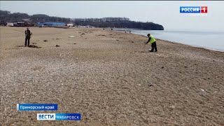 Водолазы и спецтехника готовят пляжи Шаморы к летнему сезону