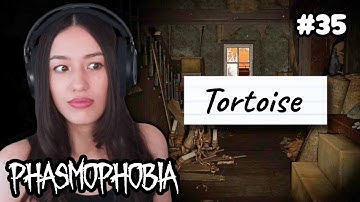 Tortoise and the Hare : TORTOISE - Phasmophobia Weekly Challenge #35