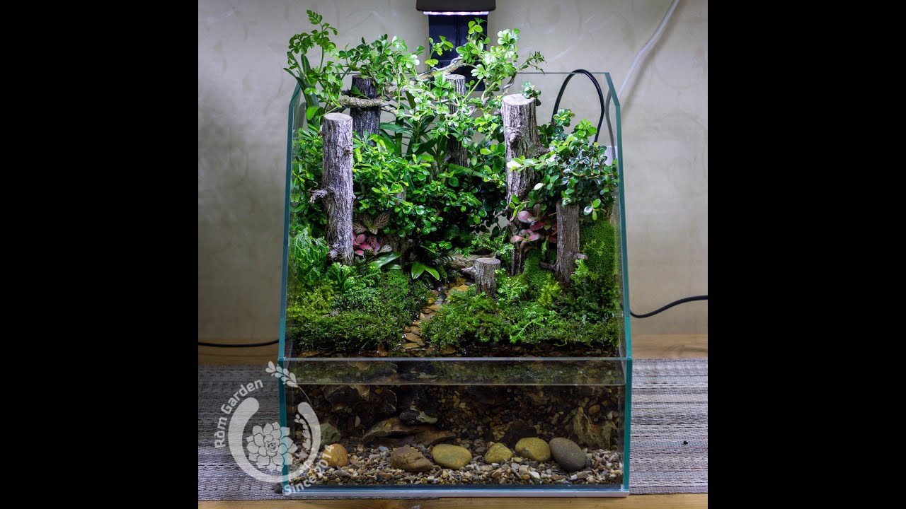 How to build a vivarium with Forest and Stream layout - Hướng dẫn làm ...