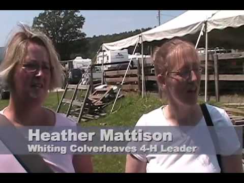 Addison County Fair and Field Days: 4-H Youth Dair...