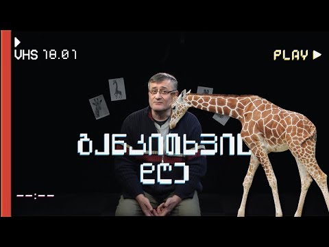 ჩვენი ჟირაფი ნანახი გყავთ?  – განკითხვის დღე