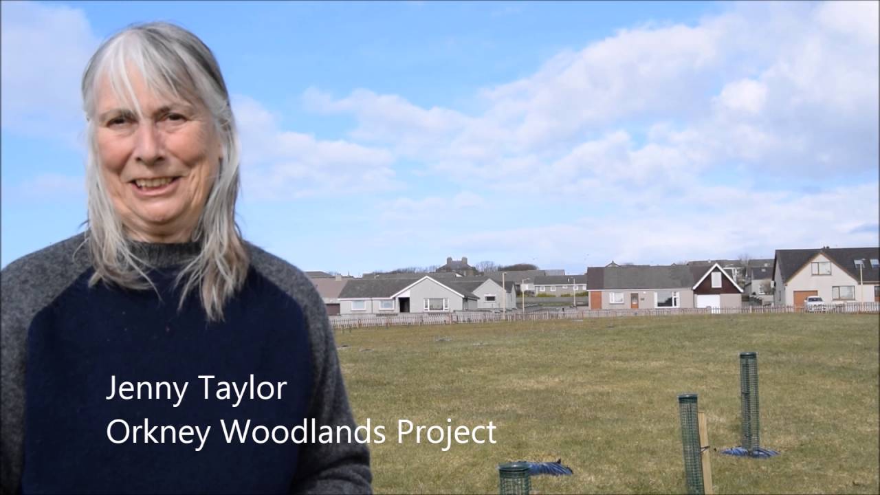 Tree planting event in Kirkwall First World War Centenary Woods
