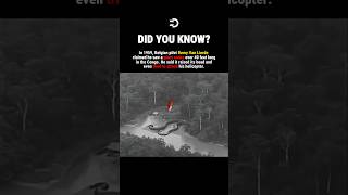 The Snake Tried To ATT*CK His Helicopter #history #facts