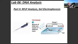 Lab 6 Discussion
