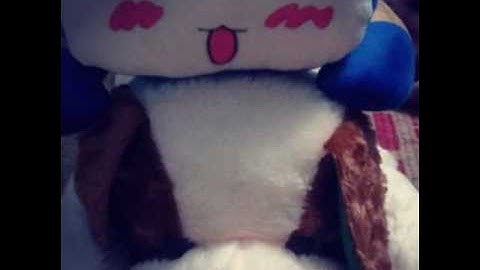 Tiếng hát giữa rừng pác bó beat sáo bầu