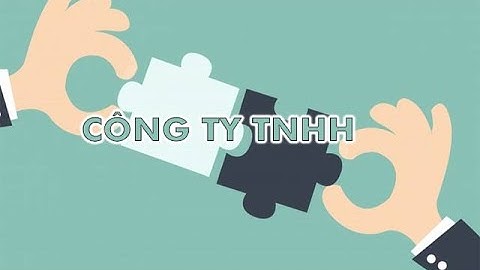 Công ty trách nhiệm hữu hạn gọi là gì năm 2024