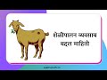 शेळीपालन सुरुवात कशी करावी 2