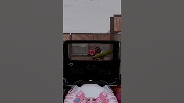 Dead #rust #rustconsole #rustgame #10k #gaming #androidgames #rustclips #beamer #funny #pvp #lol #re