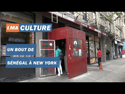 Vidéo: Comment était la vie dans la colonie de New York ?