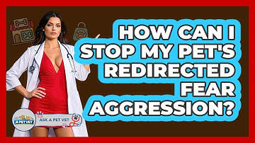 How Can I Stop My Pet