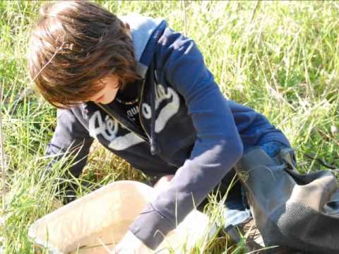 Environmental Studies at Kingsbury Country Day School