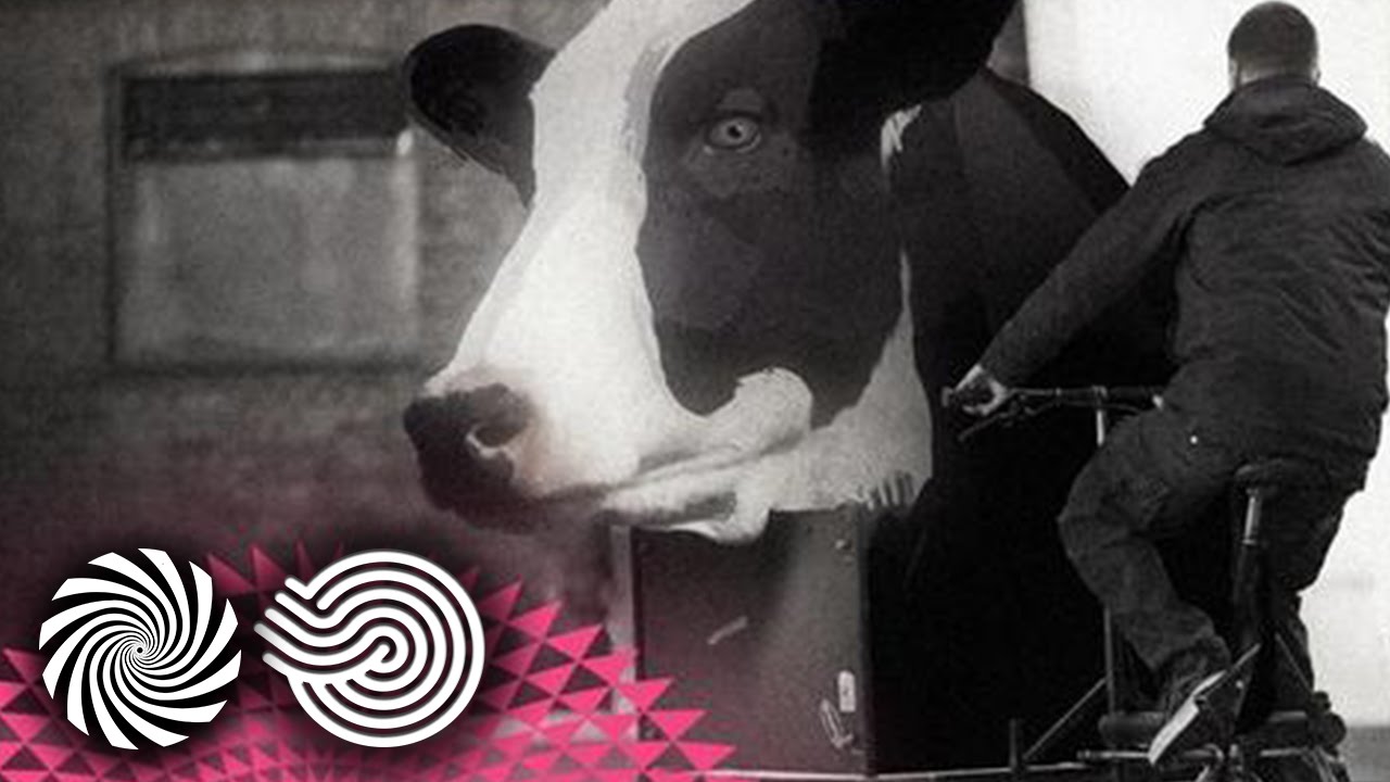 Beat Bizarre - Floaters