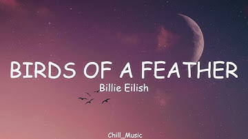 Billie Eilish - BIRDS OF A FEATHER (Lyrics) (Loop Video)