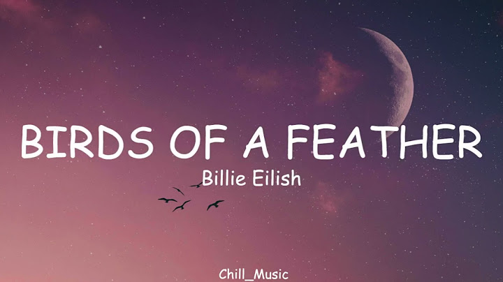 Billie Eilish - BIRDS OF A FEATHER (Lyrics) (Loop Video)