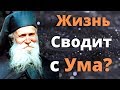 Как обрести Покой и Радость в жизни?...  - Фаддей Витовницкий