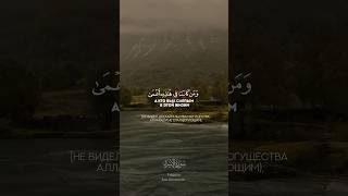 Сура 17 Аль-Исра. Ридван аш-Шишани