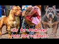 Os Pit Monster mais tops do Brasil | parte 1