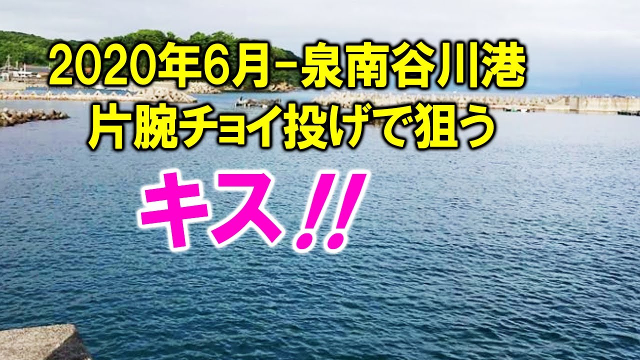 キス チョイ投げ 泉南谷川港 ボーズは逃れた 強風でトラブル続き 年6月25日今年の初釣りでした Youtube