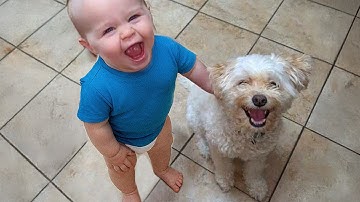 Adorable Baby & Dog Moments You Must See!😍 Animal and Human Videos 2025
