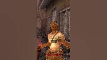 These Freeside Thugs are Twins, and they died at the same time #fallout #newvegas