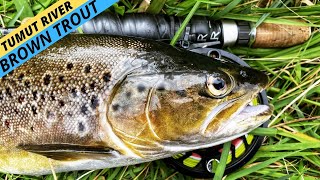 HOWTO: See Trout and Catch Them in the Tumut River