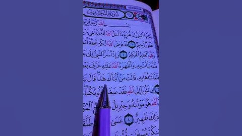 آيات من سورة التحريم الشيخ ماهر المعيقلي #قرآن #صلوا_على_النبي #quran